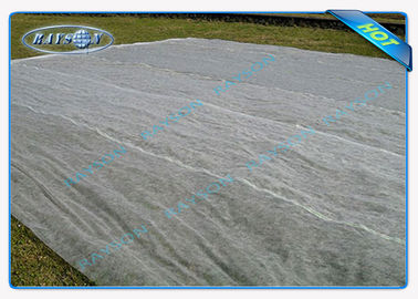Protezione UV non tessuta permeabile all'acqua del tessuto del paesaggio per il pacciame di agricoltura