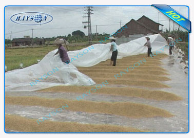 Ampia copertura non tessuta eccellente durevole di agricoltura per la piantatura del ginseng