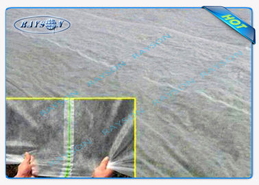 Tessuto UV 100%, larghezza massima 25.6m del paesaggio del polipropilene di protezione