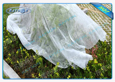 Prodotto non intessuto del paesaggio delle borse della frutta del film del pacciame della copertura della pianta con anti UV