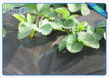 Copertura non tessuta resistente biodegradabile di Agricultrual nel colore nero 1.5OZ 40gsm a 100gsm