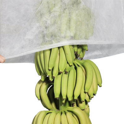 borse non tessute UV non tessute della banana della copertura di agricoltura 17gram che tagliano 100pcs per sacchetto di plastica