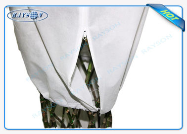 Prodotto non tessuto non intessuto del materiale della borsa del tessuto della copertura di agricoltura dei pp Spunbond