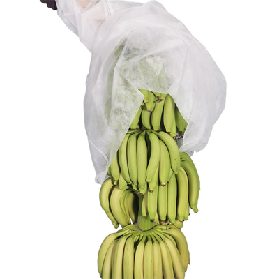 4% UV Spunbond Pp non tessuto sacchetto di copertura per mazzo di banane in bianco blu