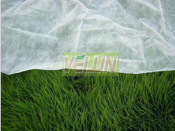 Nonwoven biodegradabile ecologico del tessuto del paesaggio per agricoltura