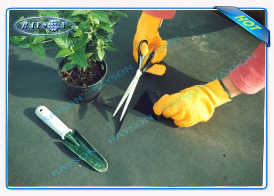 La protezione UV di 3% 10 anni garantisce la copertura non tessuta agricola Spunbond nel colore nero