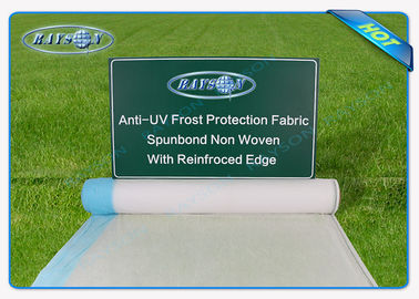 ampia stuoia Anti-UV trasparente del diserbo di 25.6m per il tessuto agricolo e bianco del paesaggio