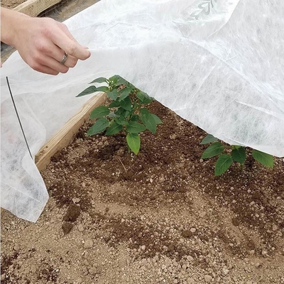 modello tinto tessuto non tessuto non tessuto del manto vegetale della copertura di agricoltura di larghezza di 14m