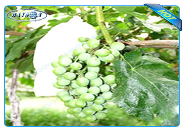 Borsa non tessuta eliminabile di protezione della frutta dell'OEM per la dimensione 20 cm 22cm dell'uva