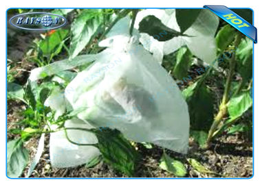 La pianta non tessuta di Agiculture coltiva le borse per la crescita della frutta e la protezione, patata coltiva le borse